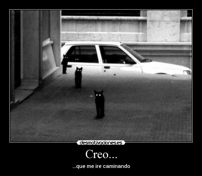 Creo... - ...que me ire caminando