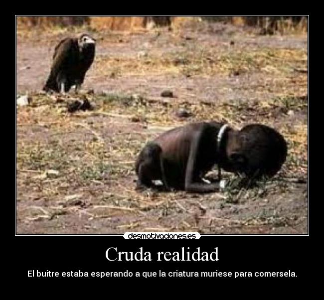 Cruda realidad - 