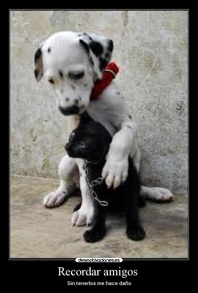 Recordar amigos -