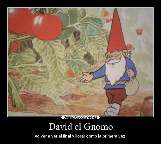 David el Gnomo - 