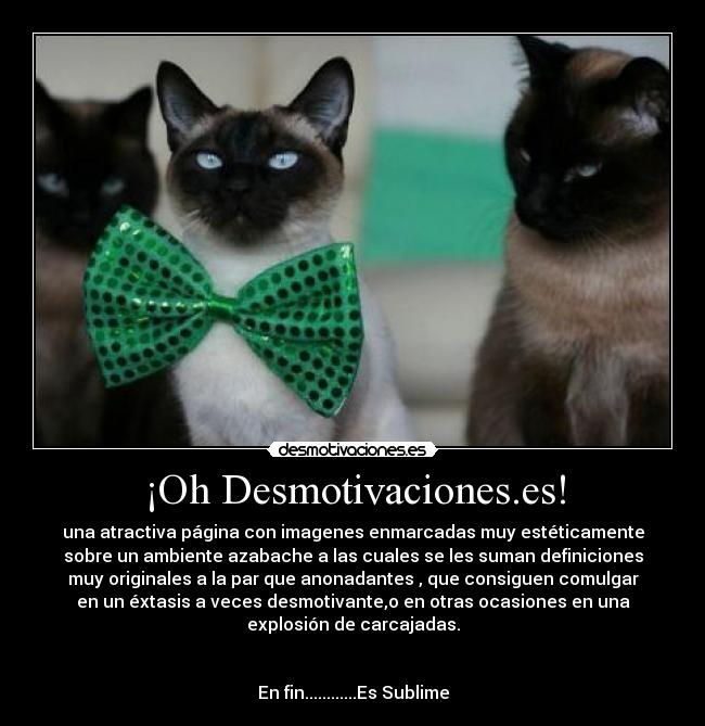 ¡Oh Desmotivaciones.es! -