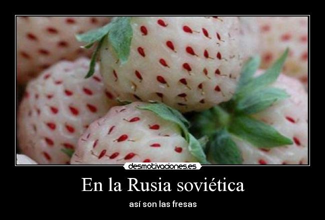 En la Rusia soviética - 