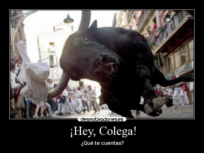 ¡Hey, Colega! - 