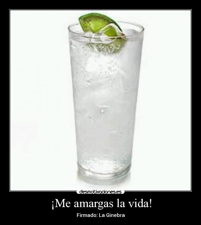 carteles vida gintonic ginebra tonica amargo desmotivaciones