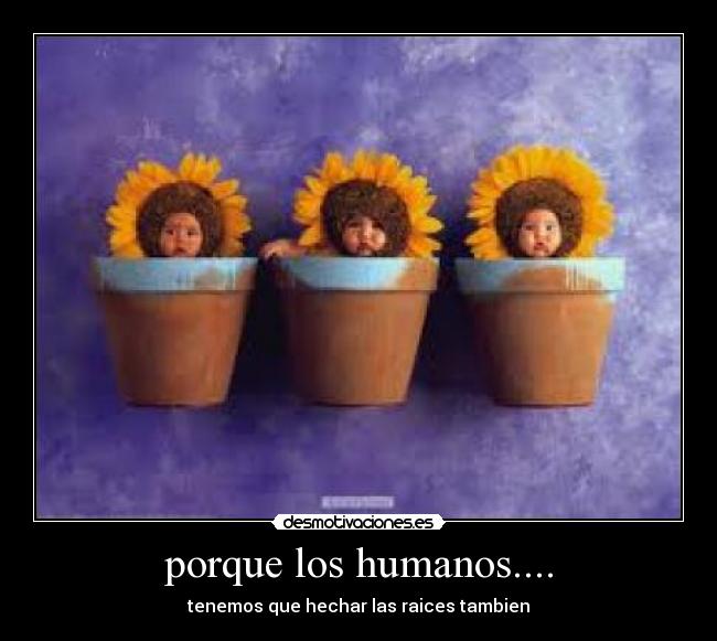 carteles desmotivaciones