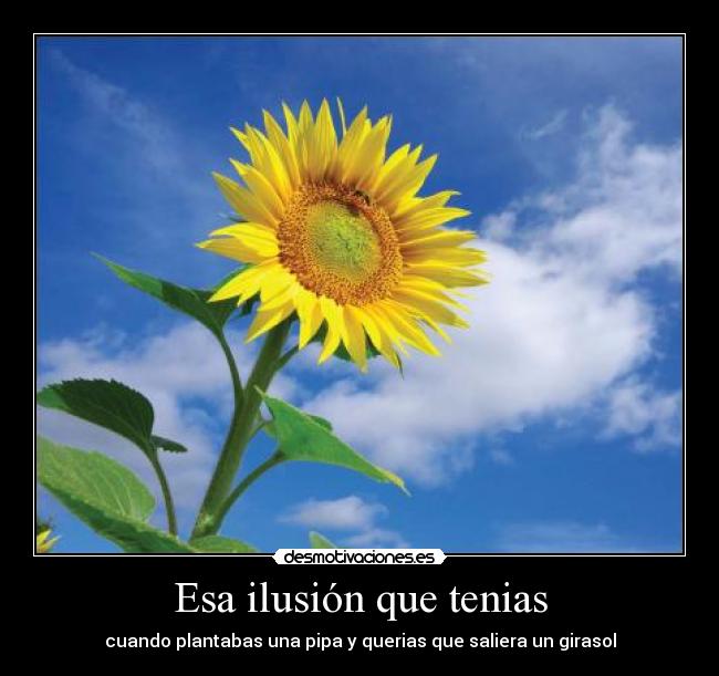 Esa ilusión que tenias -