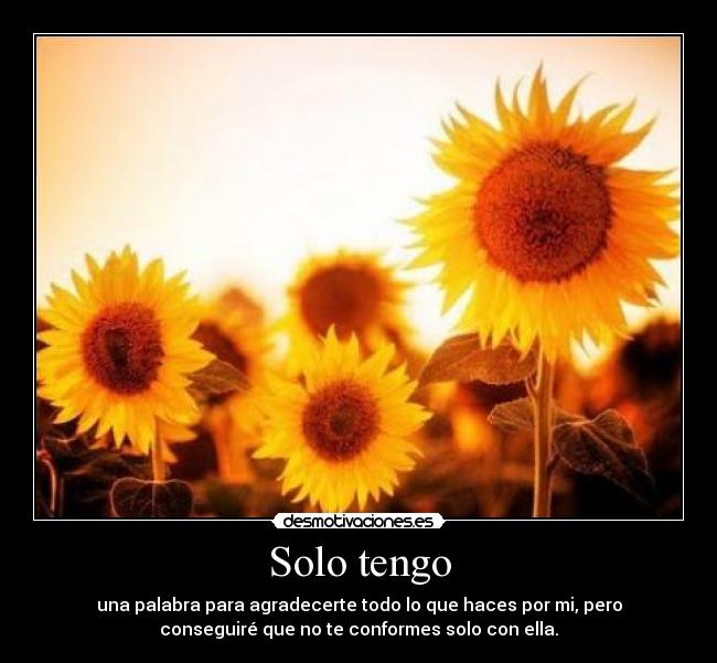 carteles lauracyinder desmotivaciones