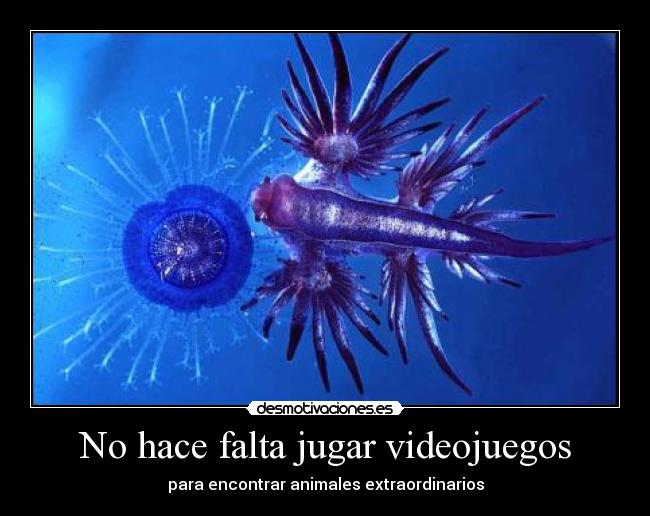 carteles videojuegos neo0z desmotivaciones