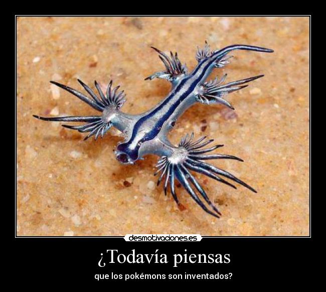 ¿Todavía piensas - 