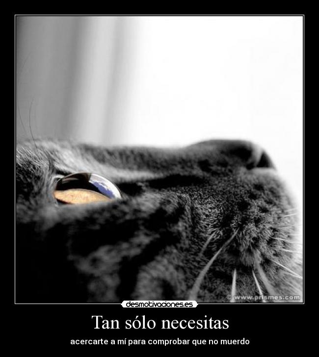 Tan sólo necesitas - 