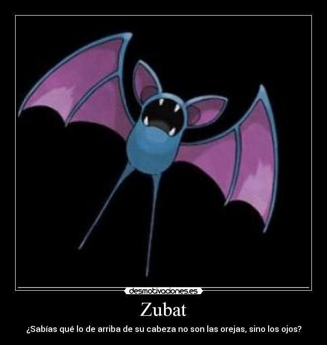 Zubat -