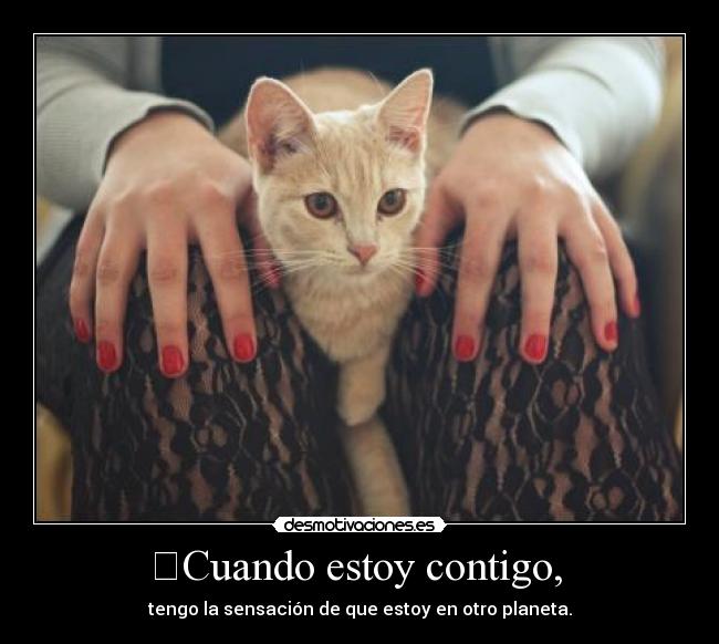 	Cuando estoy contigo,  - 