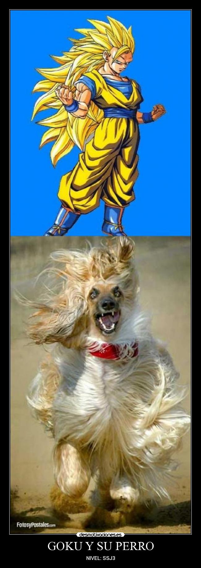 GOKU Y SU PERRO - NIVEL: SSJ3