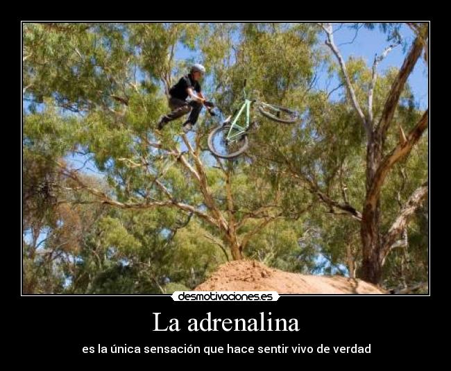 carteles walt-k desmotivaciones