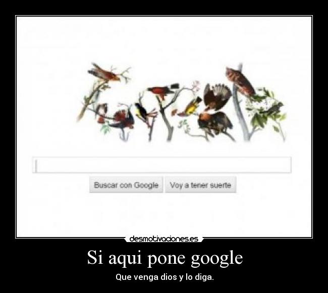 carteles google desmotivaciones