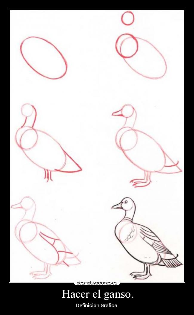 Hacer el ganso. - Definición Gráfica.