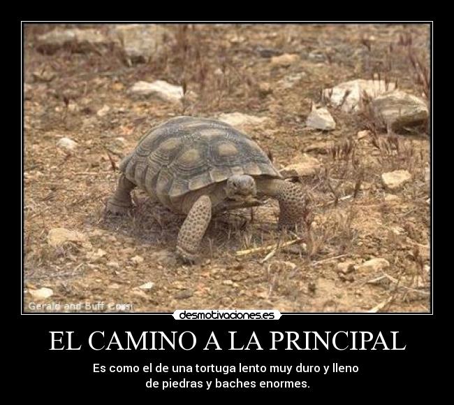 EL CAMINO A LA PRINCIPAL -