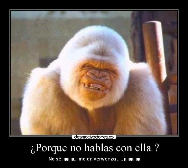 ¿Porque no hablas con ella ? - No sé jijijijiji... me da verwenza ..... jijijijijijiji
