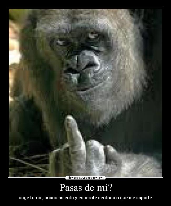 Pasas de mi? - 