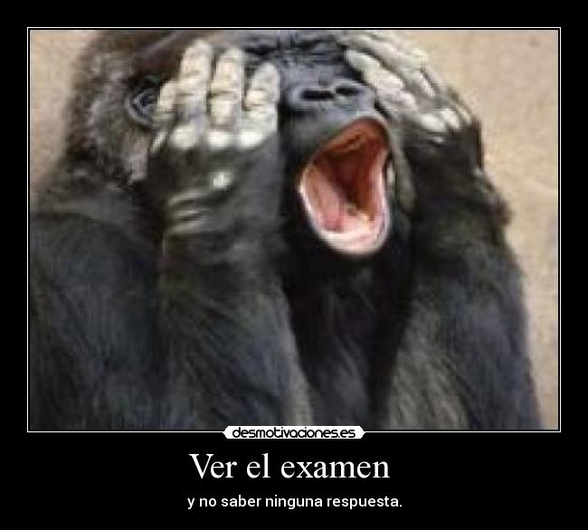Ver el examen - y no saber ninguna respuesta.