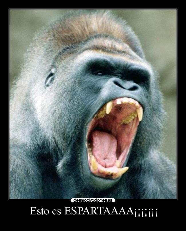Esto es ESPARTAAAA¡¡¡¡¡¡¡ -