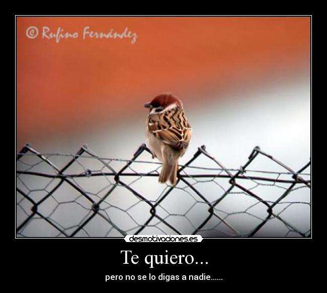 carteles 17up desmotivaciones