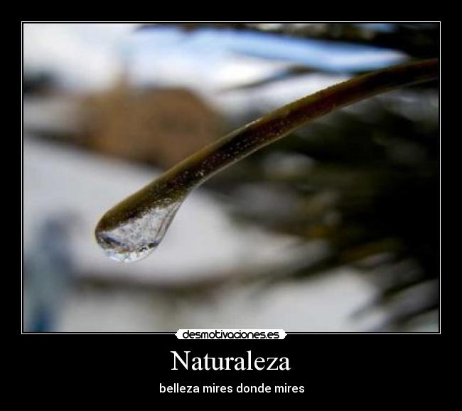 Naturaleza - belleza mires donde mires