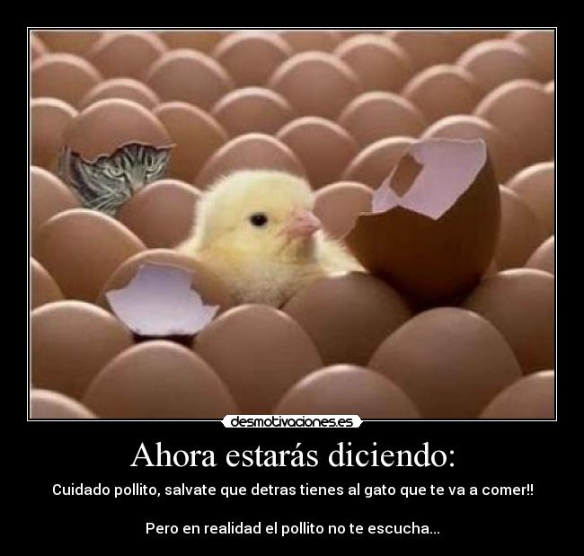 Ahora estarás diciendo: - Cuidado pollito, salvate que detras tienes al gato que te va a comer!!

Pero en realidad el pollito no te escucha...