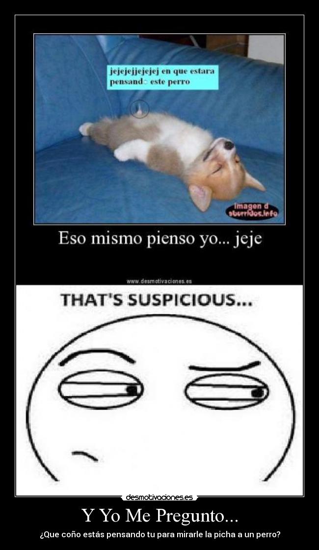 Y Yo Me Pregunto... -