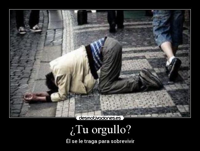 ¿Tu orgullo? - 