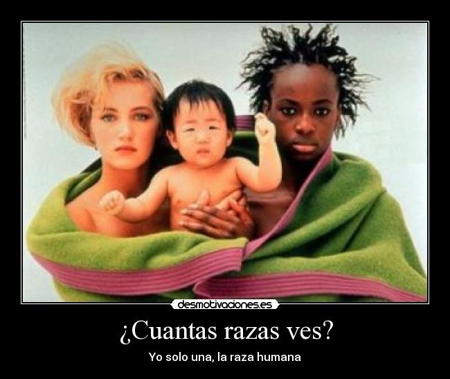 ¿Cuantas razas ves? - 