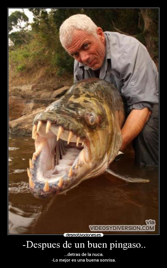 -Despues de un buen pingaso.. - ...detras de la nuca.
-Lo mejor es una buena sonrisa.