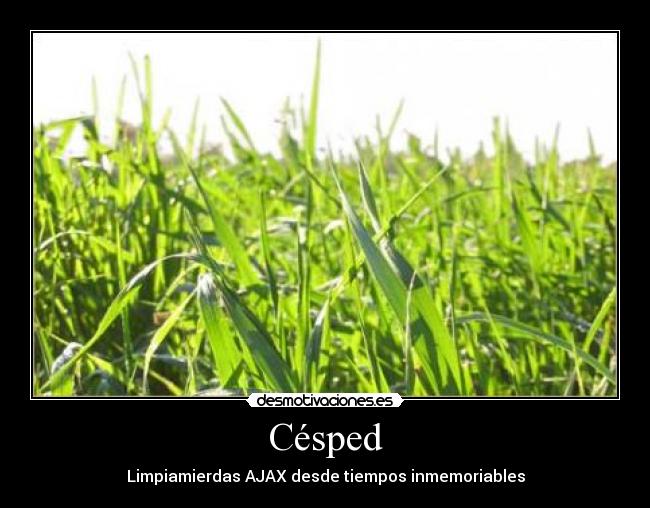 Césped - Limpiamierdas AJAX desde tiempos inmemoriables