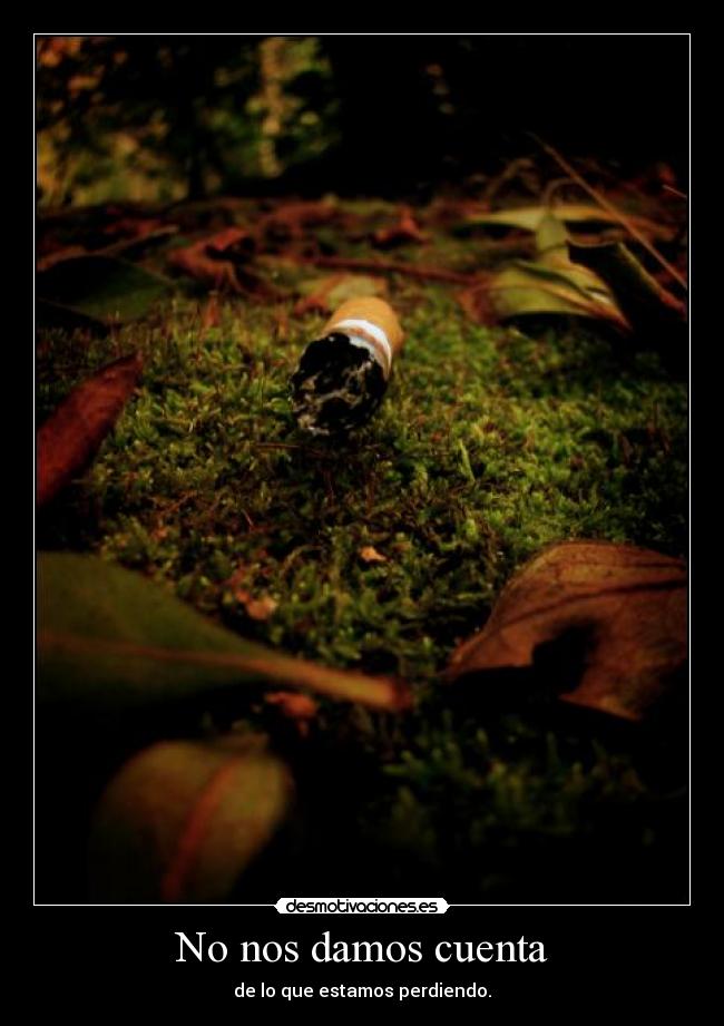 No nos damos cuenta -