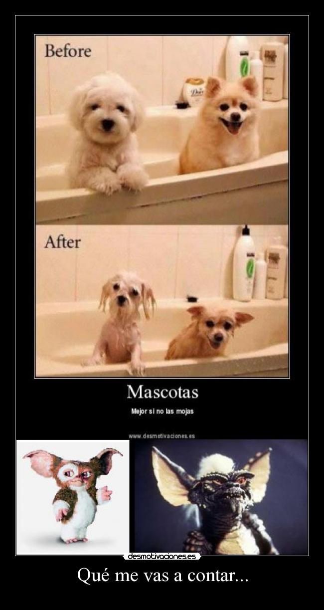 Qué me vas a contar... - 