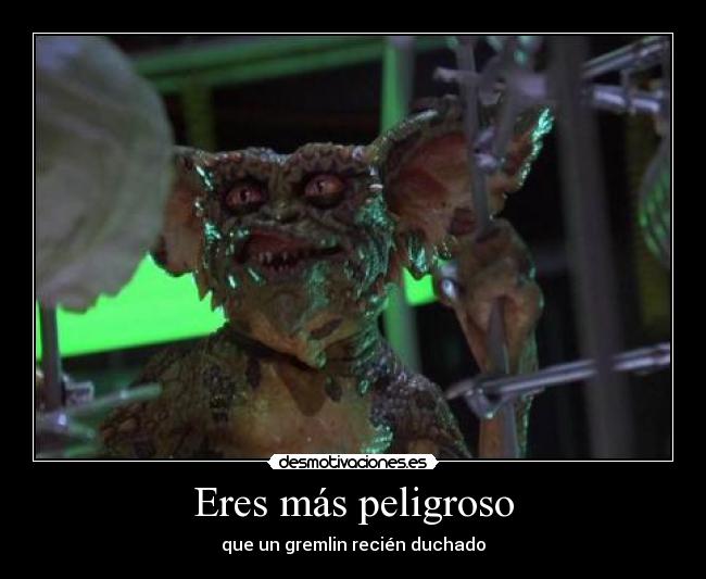 Eres más peligroso - que un gremlin recién duchado