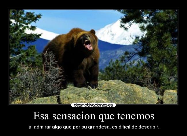 carteles desmotivaciones naturaleza admiracion desmotivaciones