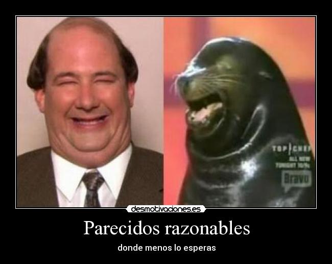 Parecidos razonables -