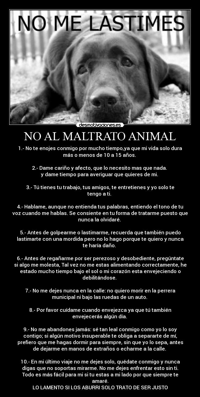 NO AL MALTRATO ANIMAL - 1.- No te enojes conmigo por mucho tiempo,ya que mi vida solo dura
más o menos de 10 a 15 años. 

2.- Dame cariño y afecto, que lo necesito mas que nada. 
y dame tiempo para averiguar que quieres de mi. 

3.- Tú tienes tu trabajo, tus amigos, te entretienes y yo solo te
tengo a ti. 

4.- Hablame, aunque no entienda tus palabras, entiendo el tono de tu
voz cuando me hablas. Se consiente en tu forma de tratarme puesto que
nunca la olvidaré. 

5.- Antes de golpearme o lastimarme, recuerda que también puedo
lastimarte con una mordida pero no lo hago porque te quiero y nunca
te haría daño. 

6.- Antes de regañarme por ser perezoso y desobediente, pregúntate
si algo me molesta, Tal vez no me estas alimentando correctamente, he
estado mucho tiempo bajo el sol o mi corazón esta envejeciendo o
debilitándose. 

7.- No me dejes nunca en la calle: no quiero morir en la perrera
municipal ni bajo las ruedas de un auto. 

8.- Por favor cuídame cuando envejezca ya que tú también
envejecerás algún día. 

9.- No me abandones jamás: sé tan leal conmigo como yo lo soy
contigo; si algún motivo insuperable te obliga a separarte de mí,
prefiero que me hagas dormir para siempre, sin que yo lo sepa, antes
de dejarme en manos de extraños o echarme a la calle. 

10.- En mi último viaje no me dejes solo, quédate conmigo y nunca
digas que no soportas mirarme. No me dejes enfrentar esto sin ti.
Todo es más fácil para mi si tu estas a mi lado por que siempre te
amaré.
LO LAMENTO SI LOS ABURRI SOLO TRATO DE SER JUSTO