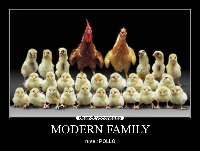 MODERN FAMILY - nivel: POLLO