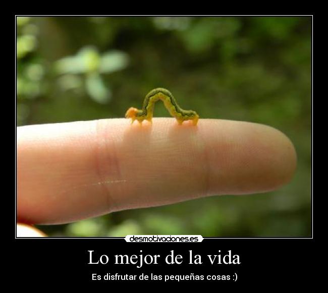 Lo mejor de la vida - Es disfrutar de las pequeñas cosas :)