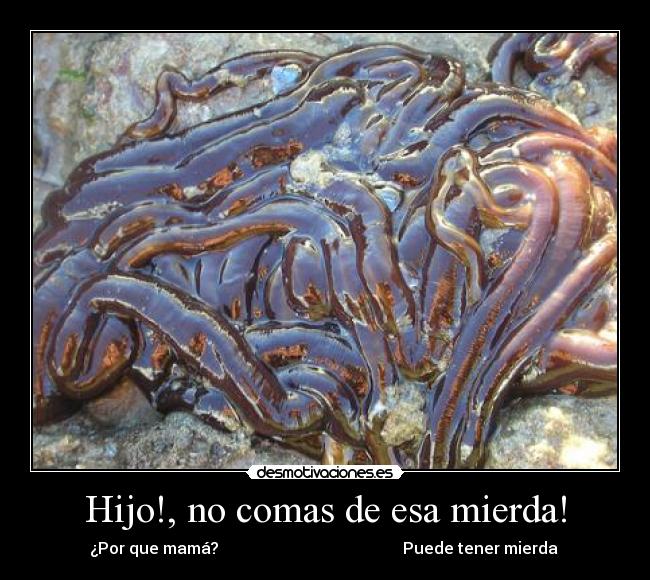Hijo!, no comas de esa mierda! -