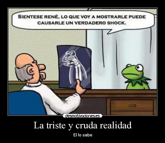 La triste y cruda realidad -