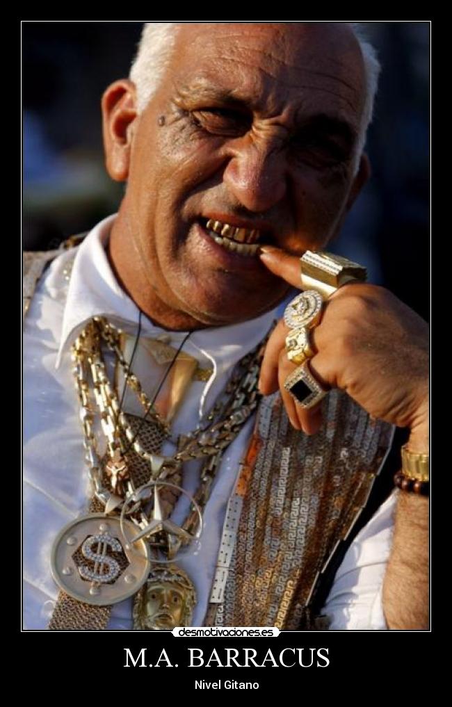 carteles gitano desmotivaciones