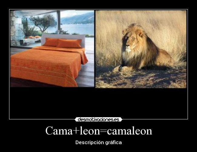 Cama+leon=camaleon - 