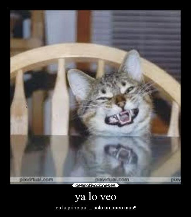 ya lo veo - es la principal ... solo un poco mas!!