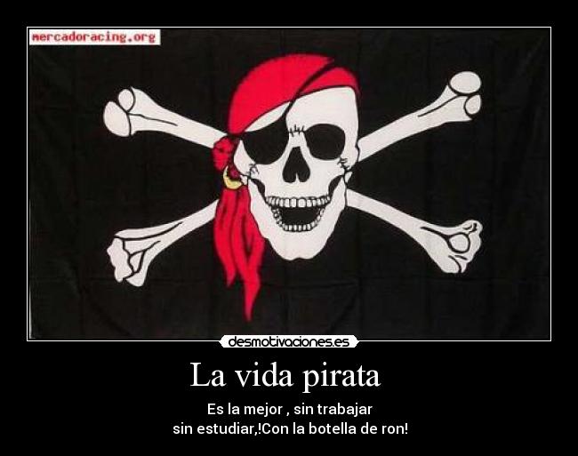carteles vida pirata desmotivaciones