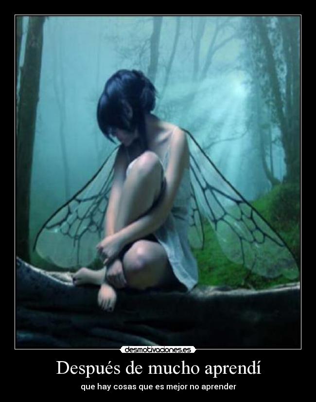 Después de mucho aprendí - que hay cosas que es mejor no aprender