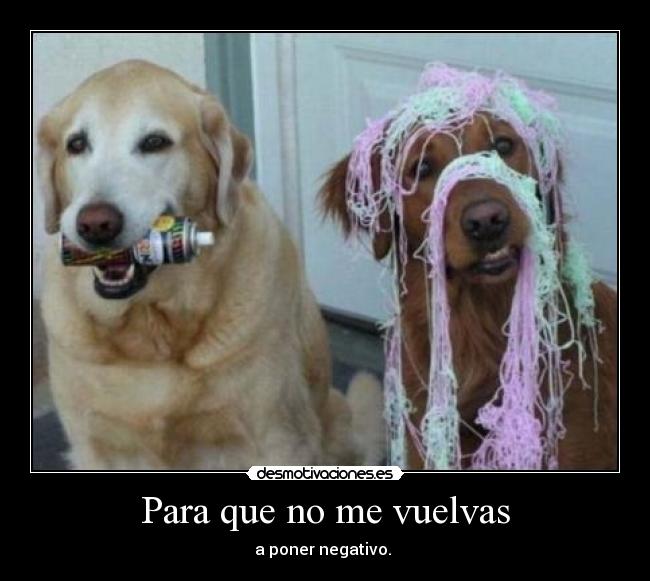 Para que no me vuelvas - 