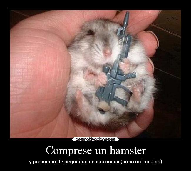 Comprese un hamster - y presuman de seguridad en sus casas (arma no incluida)